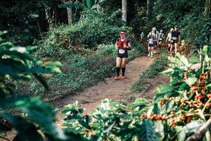 BIB: 
                            <button type="button" onclick="openModal(25838317)" class="btn btn-primary btn-sm float-right btn-popup" data-toggle="modal" data-target=".modal-high-quality">
                        <i class="fas fa-shopping-cart"></i> Add to Cart
                    </button>
                                            <button type="button" onclick="isThisMe(25838317, true)" class="btn btn-success btn-sm float-right btn-popup btn-isme hidden" data-toggle="tooltip" data-placement="bottom" title="นี่คือรูปของคุณใช่ไหม คลิกที่นี่เพื่อเอาเข้าอัลบั้ม">
                        <i class="fas fa-plus"></i> Add to album
                    </button>
                    <button type="button" onclick="isThisMe(25838317, false)" class="btn btn-warning btn-sm float-right btn-popup btn-isnotme hidden">
                        <i class="fas fa-ban"></i> Remove from album
                    </button>